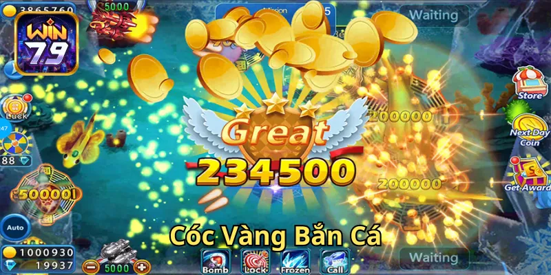 Cóc Vàng Bắn Cá là gì?