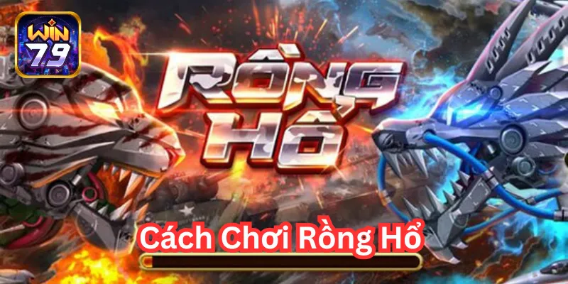 Cách Chơi Rồng Hổ sao cho hiệu quả